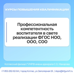 Курсы повышения квалификации: «Профессиональная компетентность воспитателя в свете реализации ФГОС НОО, ООО, СОО»